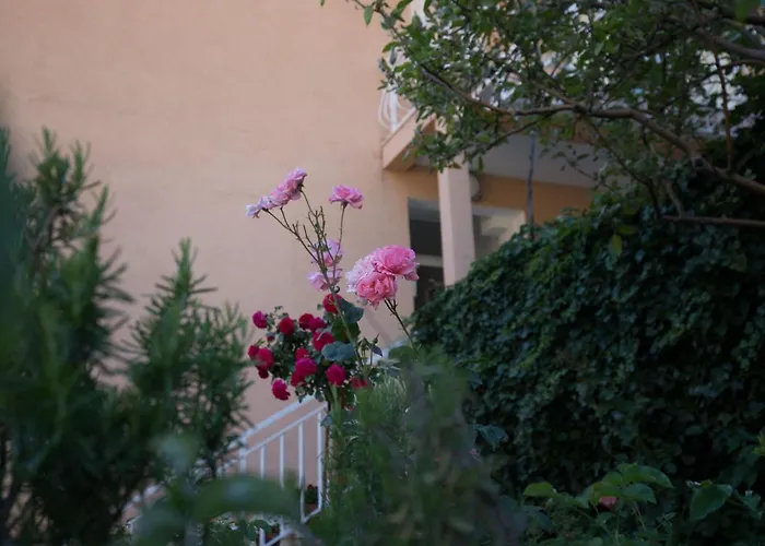 Dubravka - Premium With Balcony And Sea View 2 Appartement *