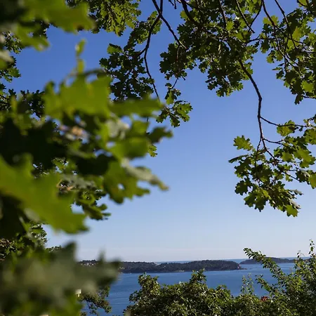 Dubravka - Premium With Balcony And Sea View 2 Daire Mlini