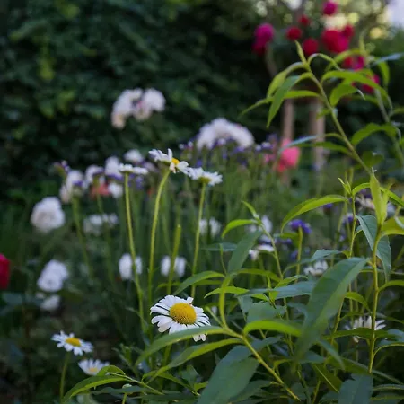 Daire Dubravka - Premium With Balcony And Sea View 2