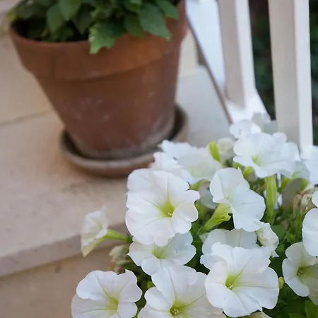 Dubravka - Premium With Balcony And Sea View 2 Daire