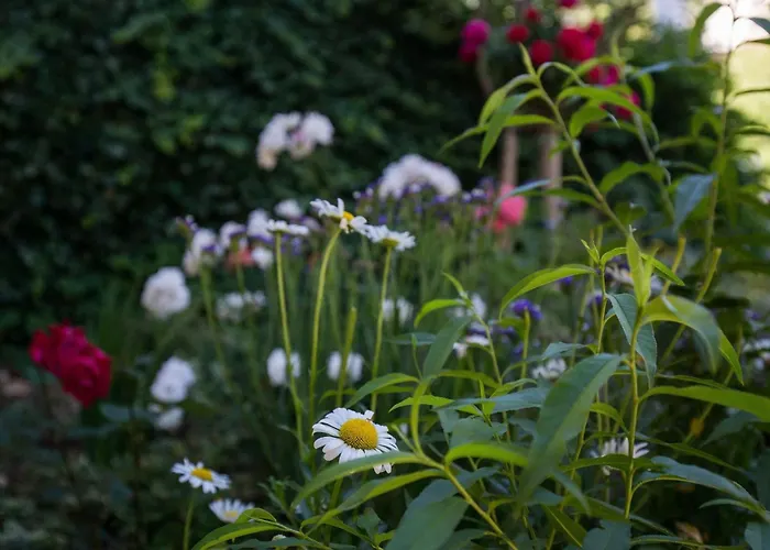 아파트 Dubravka - Premium With Balcony And Sea View 2