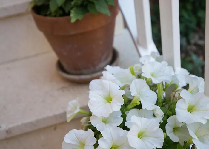 Dubravka - Premium With Balcony And Sea View 2 아파트